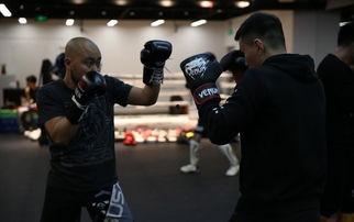 太极雷雷最新爆料,揭秘神秘内幕，真相令人震惊！