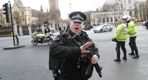 英国警方最新爆料,揭秘重大犯罪案件背后惊人内幕