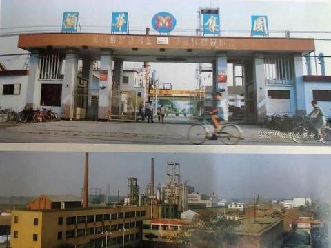 临颖新闻爆料最新视频,视频揭露惊人真相