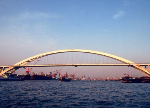 卢浦大桥爆料视频最新,揭秘事故真相与警示