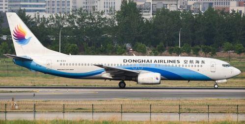 东海航空最新爆料,揭秘神秘航线背后的故事