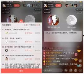 红豆木森最新爆料,揭秘娱乐圈背后的惊人真相！