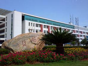 南昌工学院女生被捅原因最新爆料,真相背后的悲剧与反思